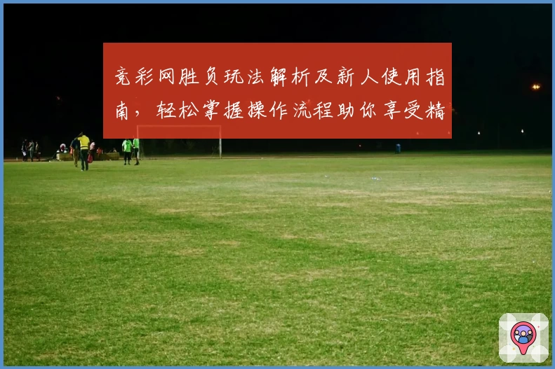 竞彩网胜负玩法解析及新人使用指南，轻松掌握操作流程助你享受精彩体验