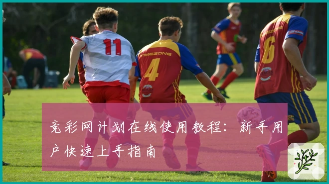 竞彩网计划在线使用教程：新手用户快速上手指南