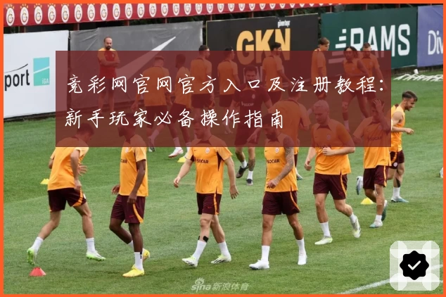 竞彩网官网官方入口及注册教程：新手玩家必备操作指南