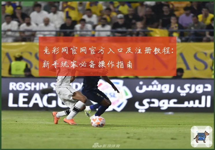 竞彩网官网官方入口及注册教程：新手玩家必备操作指南