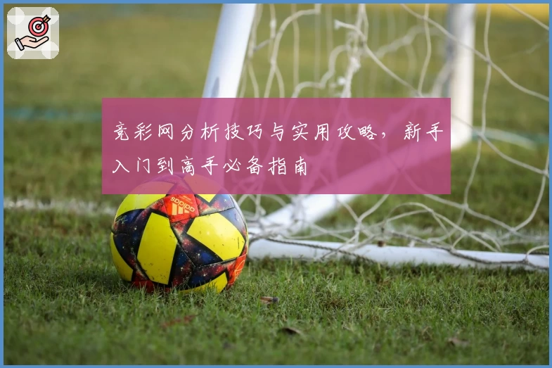 竞彩网分析技巧与实用攻略,新手入门到高手必备指南